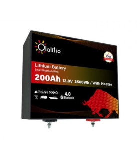 Batería de litio 200ah/12.8v Bajo asiento OLALITIO